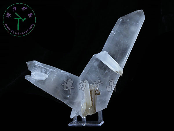 日本律雙晶，內(nèi)蒙古內(nèi)蒙古，東烏珠穆沁旗，額仁高畢,六井,976層,2016年產(chǎn)出