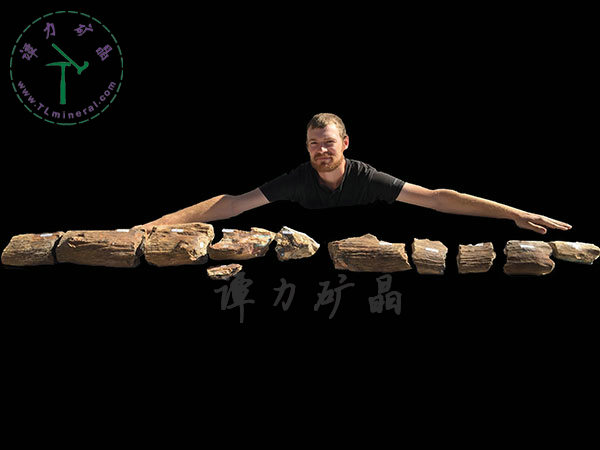 基尼斯之最-歐泊王，210cm,澳大利亞