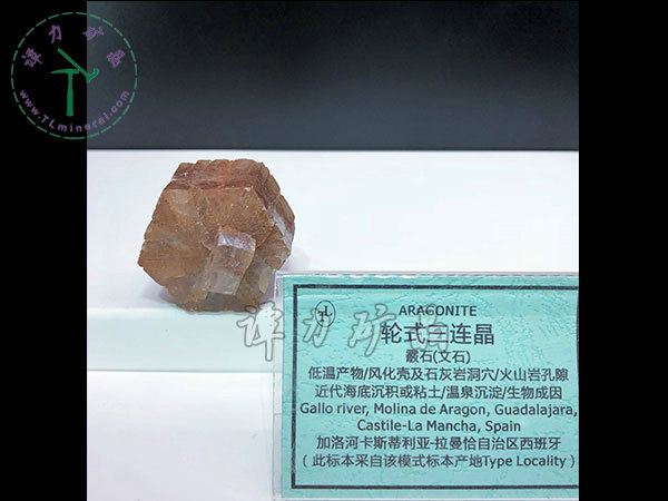 輪式三連晶霰石，西班牙