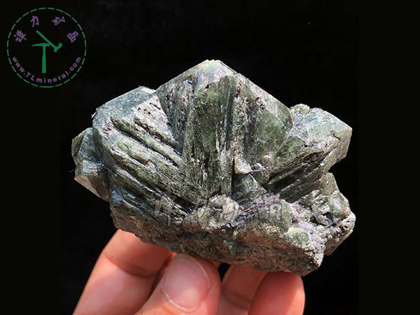 亞歷山大石（變石）輪式雙晶+津巴布韋，12x10x5.0(陽光下拍攝)