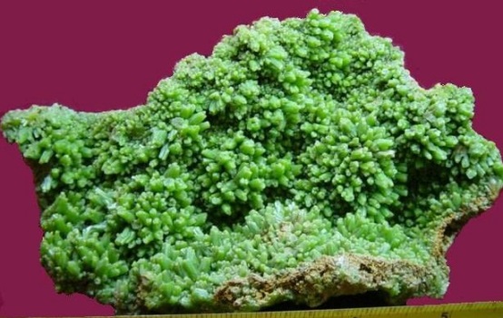 長(zhǎng)沙市譚力礦產(chǎn)品有限公司,長(zhǎng)沙礦產(chǎn)品銷售,工藝品銷售,鉆石飾品批發(fā) 長(zhǎng)沙市譚力礦產(chǎn)品有限公司,長(zhǎng)沙礦產(chǎn)品銷售,工藝品銷售,鉆石飾品批發(fā)